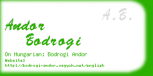 andor bodrogi business card